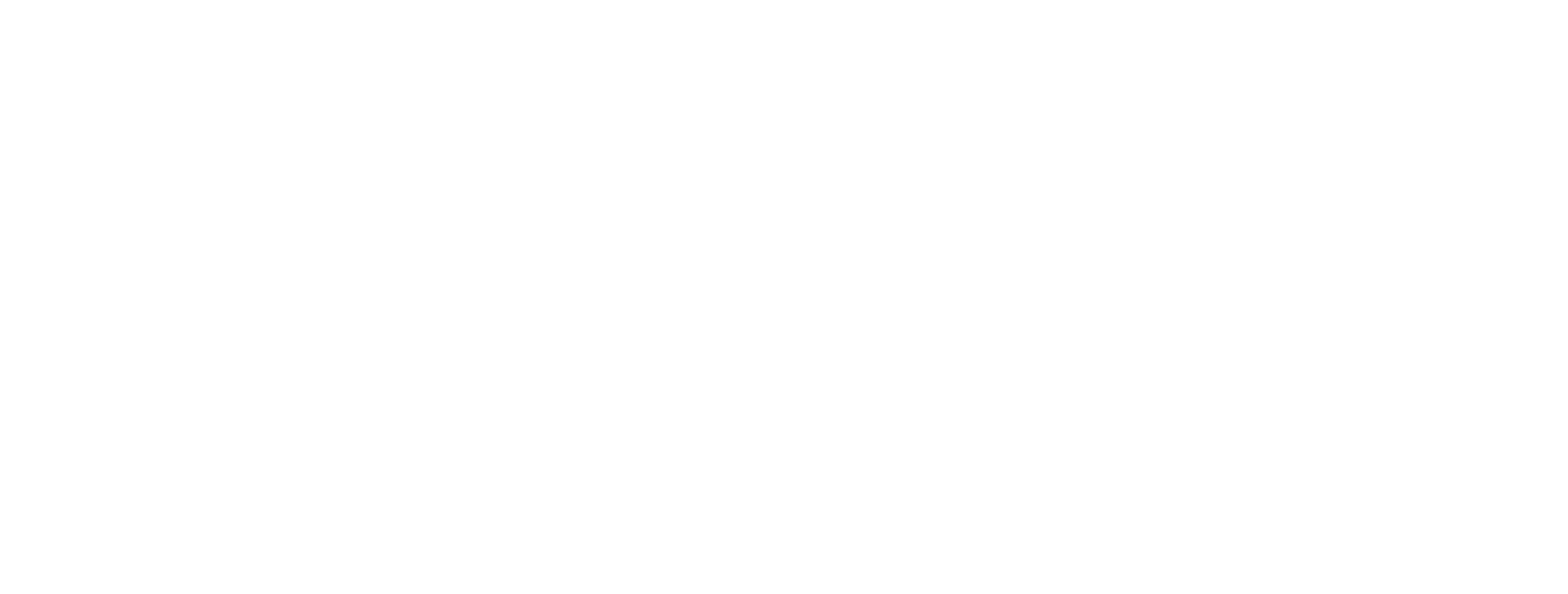 The Broken Year